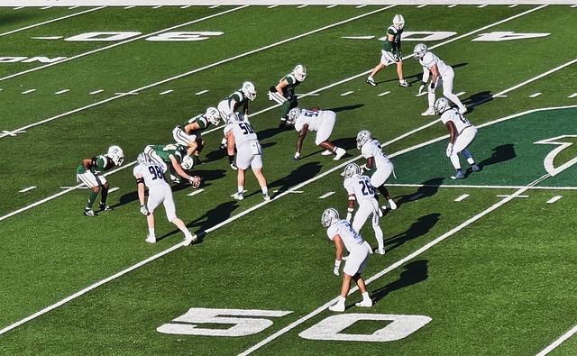 效率与决策 效率与决策