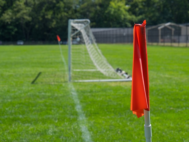 为幸存者 为幸存者