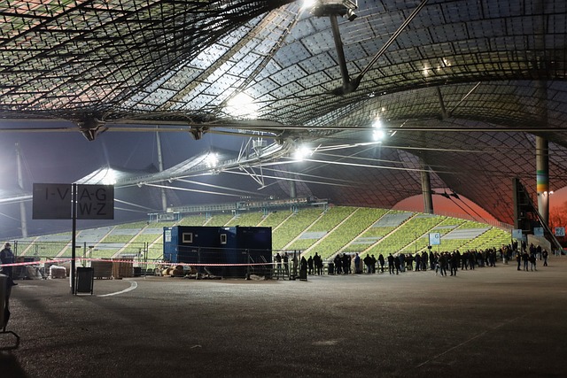 己的實力 己的實力