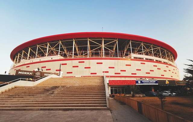 整体发展极 整体发展极